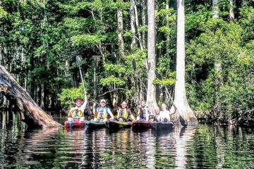 3-Hour Adventure Challenge Guided Kayak Tour