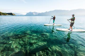 Half-Day Paddle Board Tour on Lake Wanaka
