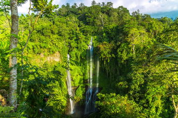 Small-Group Sekumpul Waterfall Jungle Trek with Lunch