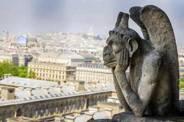 Ile de la Cité Walking Tour Including Notre Dame Tower Climb