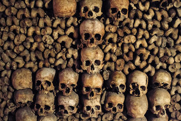 Paris Catacombs Special Access Tour