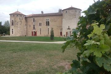 Small Group Gourmet Bordeaux Day Trip from Paris with Wine Tastings