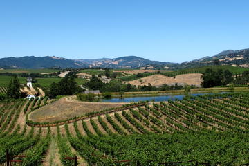 9 Hour Private Sonoma Zipline and Custom Wine Tour From San Francisco