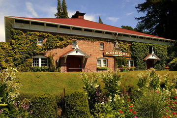 9 Hour Private Sonoma Zipline and Free Wine Tasting Tour from San Francisco