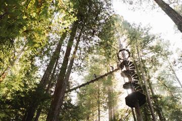 9 Hour Zip Line Beer and Private Wine Tour from Bay Area