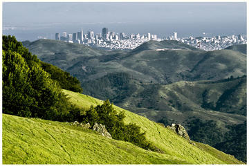 Private Muir Woods, Sausalito, Tiburon and Wine Country Tour from San Francisco