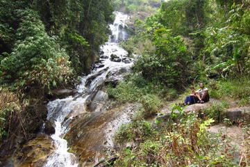 Jungle Wisdom Survival Trek