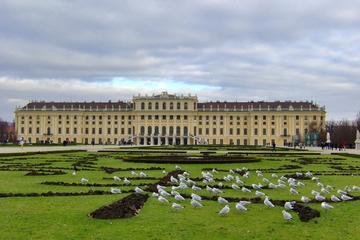 Skip the Line: Schonbrunn Palace Guided Tour in Vienna