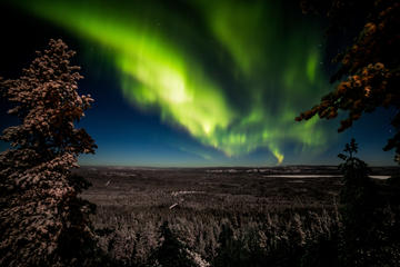 Rovaniemi Northern Lights Photography Small-Group Tour