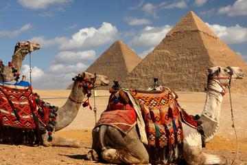 Private Tour: Day Trip to the Pyramids and Sphinx from Cairo