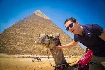 Private Tour to explore Giza Pyramids - Saqqara -Memphis