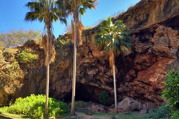 Half-Day History and Ecology Trek at the Makauwahi Cave Reserve