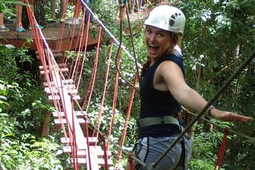Selva Maya Eco Adventure Park: Ziplining, Hanging Bridges, Rappelling and Cenotes