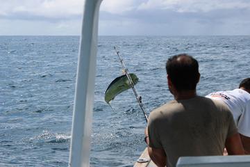 Private Fishing Tour from Puerto Vallarta