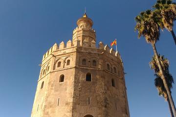 Private Walking Tour in Seville with Luxury River Cruise