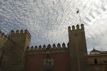 Seville Private Tour with Alcazar and Cathedral
