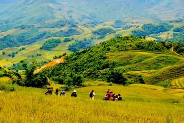 3-Day Sapa Trek with One night at Homestay and One Night at Hotel