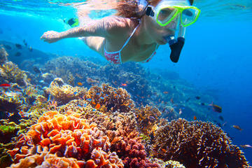 St Kitts Shore Excursion: Private Snorkeling Tour