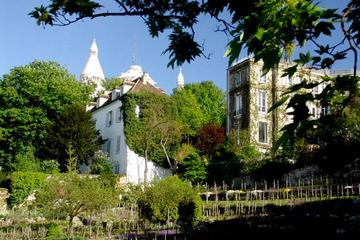 Wine in Paris: Historic Cellar Tour with VIP Vineyard Visit and Tastings