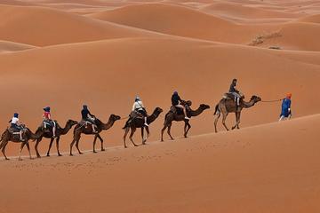 6 Days Golden Triangle with Jaisalmer Desert Safari Private Tour from Delhi