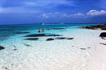 Full-Day Phi Phi Island Gold Package Tour by Speedboat from Phuket