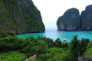 HALF DAY PHI PHI ISLAND WITH LUNCH-Tour by Speedboat from Phuket