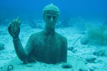 Advanced Adventurer (5 dives)