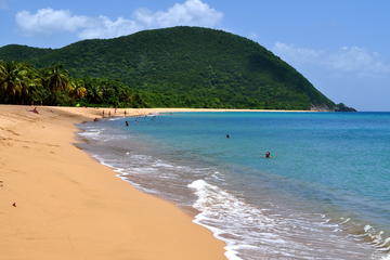 Basse-Terre Island Day Tour