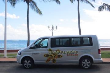 Full-Day Private Tour of Guadeloupe with a Guide