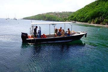 Guadeloupe Scuba Diving Tour for first-timers