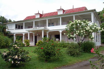 In the Heart of Guadeloupe