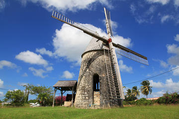 Marie-Galante Day Tour