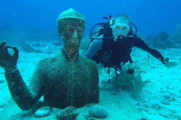 Open Water Diver Course (6 dives)