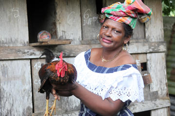 Stepping Back in Time Tour in Guadeloupe