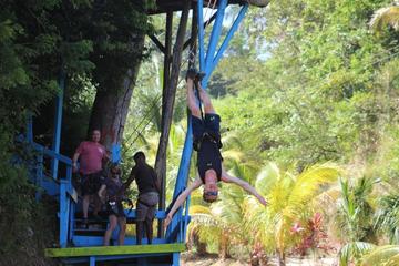 Zip and Dip Tour
