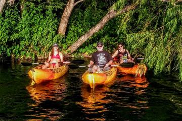 San Marcos River Adventure Kayak Tour