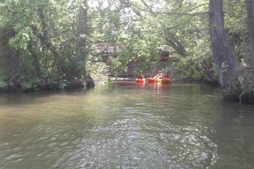 Small-Group Lady Bird Lake Kayak Tour in Austin
