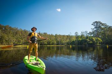 Walkabout Creek Adventures Stand Up Paddle Board Hire