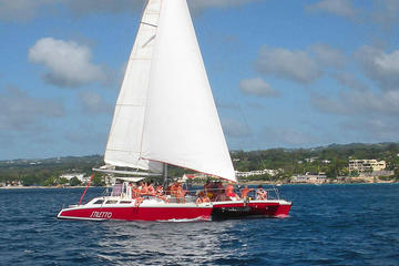 Three Hour Snorkel Tour
