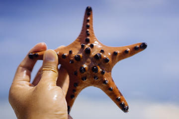 Private 2 Days and 1 nights in Bohol Tour Packages