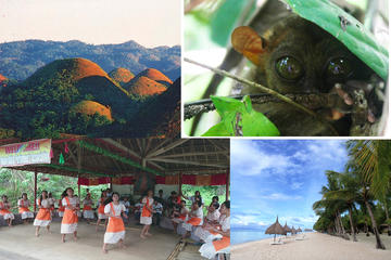Private Day Trip from Cebu to Bohol 2D and 1N with Bohol Country Side Tour