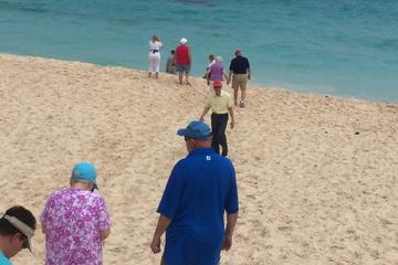 Pink Sand Shopping Tour