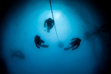 2 and a half days AIDA 2 Freediver Course