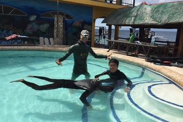 Full-Day AIDA 1 Freediver Course in Moalboal