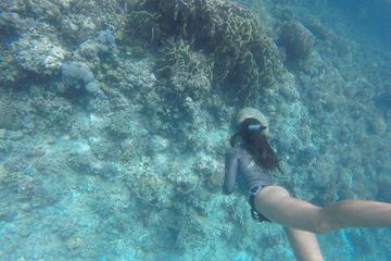 Half-Day Discovery Freediving in Moalboal