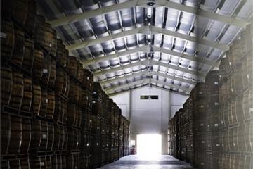 Harrison's Cave and Mount Gay Rum Tour