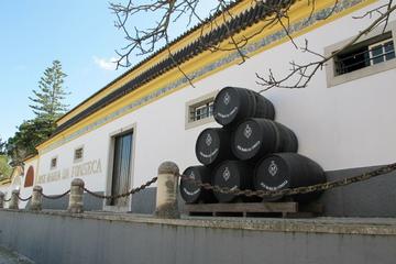 VAN PRIVATE TOUR ARRÁBIDA WINE TOUR