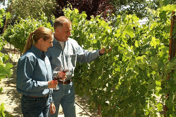 Private Pahrump Winery Tour from Las Vegas