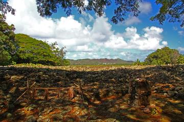 Oahu Small Group Sacred Sites Tour