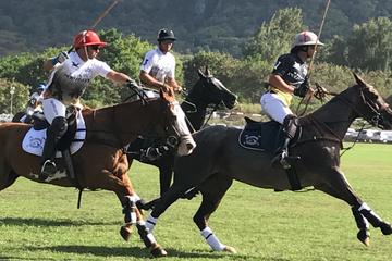Polo Game and Private Island Tour from Honolulu